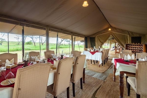 Hotel Serengeti Sametu Camp (Mugumu)